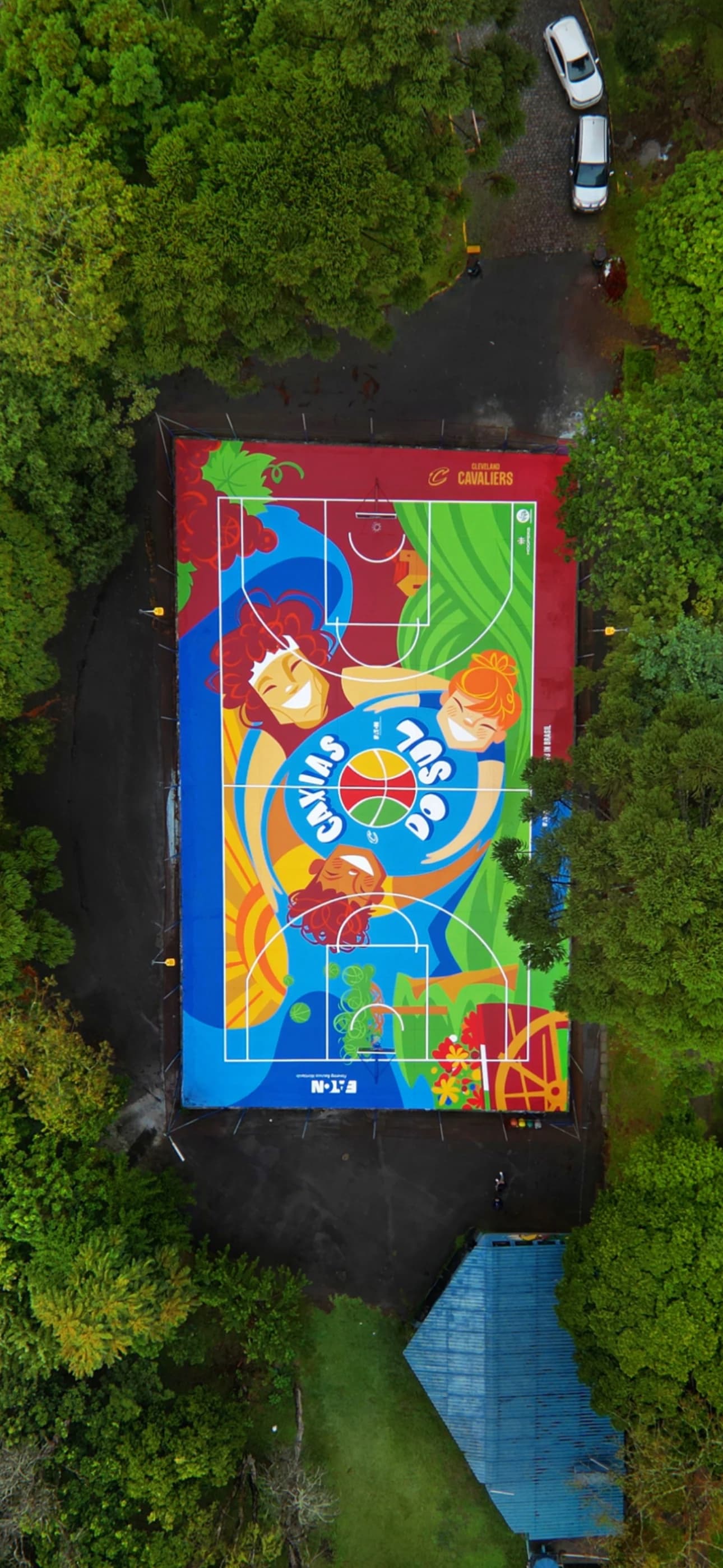 Court Revitalization Background