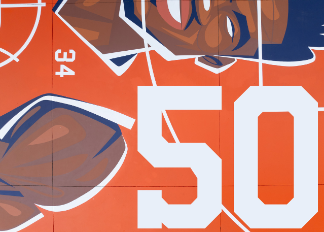 hoopers quadra 50
